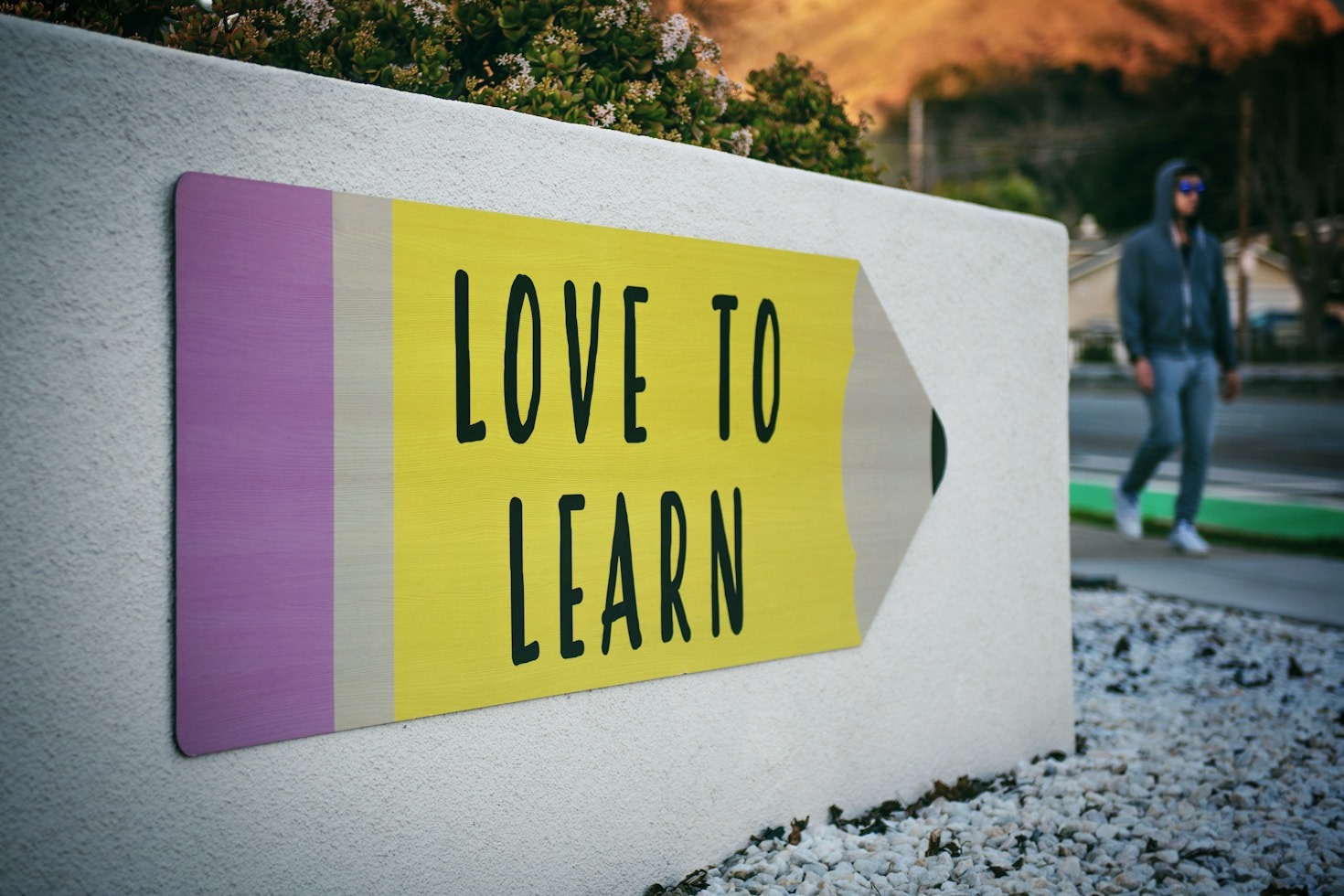 The Role of Technology in Future Education